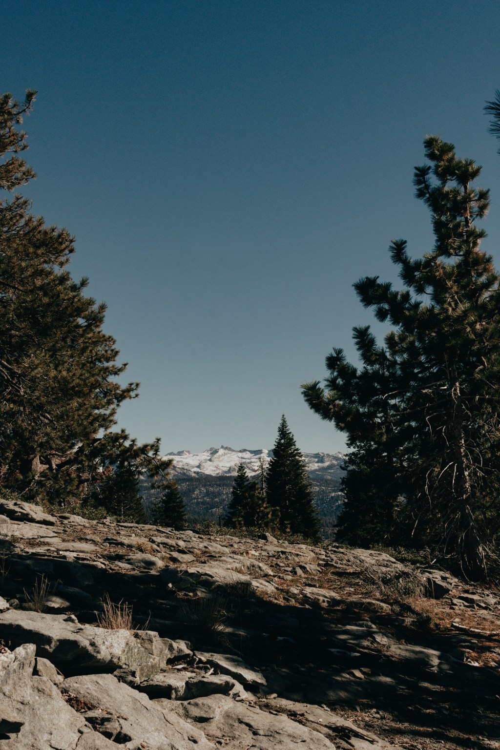 Sequoia National Park